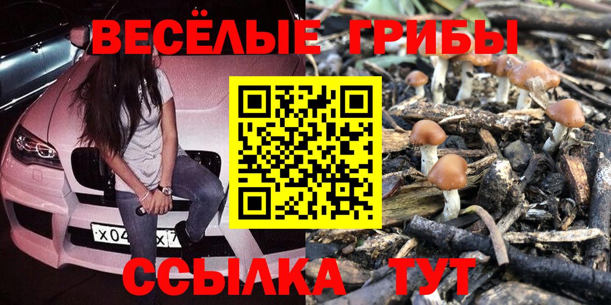 Ростов-на-Дону  Галлюциногенные грибы Psilocybe  Вход с VPN 